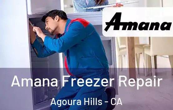  Amana Freezer Repair Agoura Hills - CA