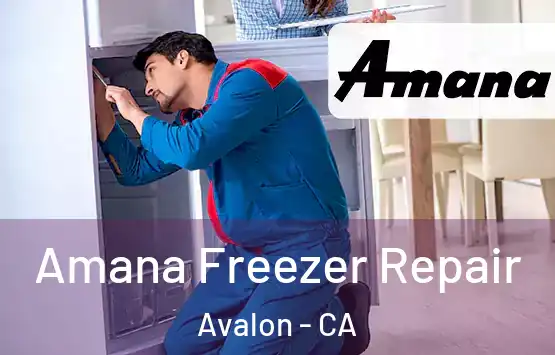  Amana Freezer Repair Avalon - CA