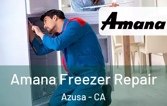  Amana Freezer Repair Azusa - CA