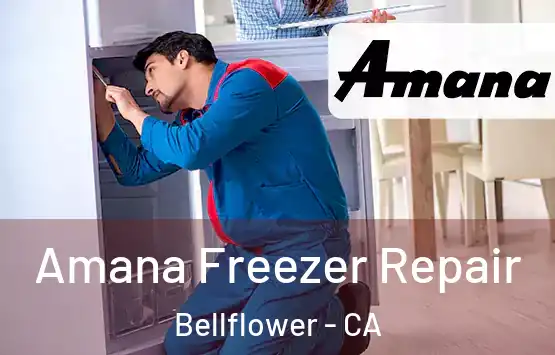 Amana Freezer Repair Bellflower - CA