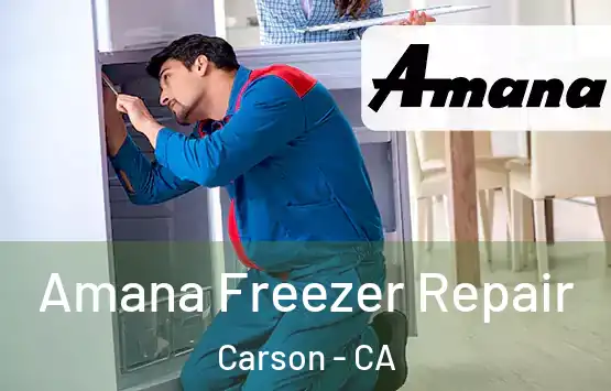  Amana Freezer Repair Carson - CA