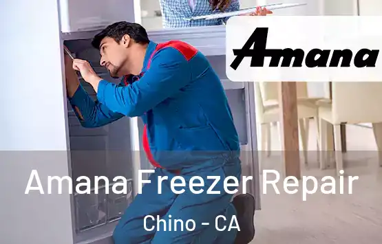  Amana Freezer Repair Chino - CA