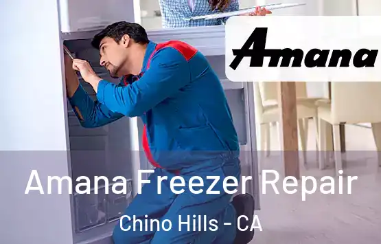  Amana Freezer Repair Chino Hills - CA