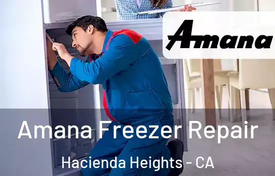  Amana Freezer Repair Hacienda Heights - CA