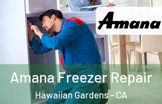  Amana Freezer Repair Hawaiian Gardens - CA