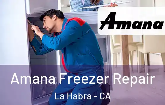  Amana Freezer Repair La Habra - CA