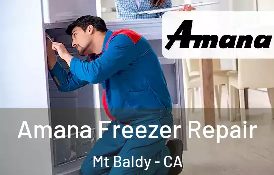  Amana Freezer Repair Mt Baldy - CA