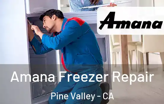  Amana Freezer Repair Pine Valley - CA