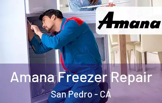  Amana Freezer Repair San Pedro - CA