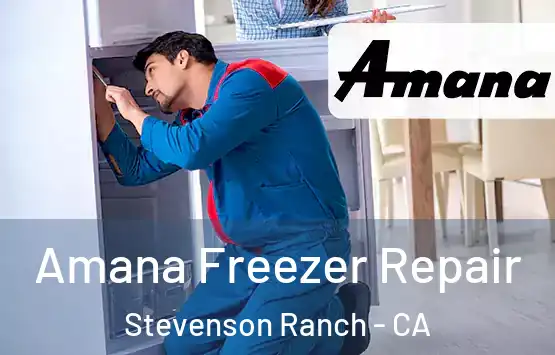  Amana Freezer Repair Stevenson Ranch - CA