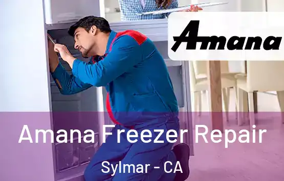  Amana Freezer Repair Sylmar - CA