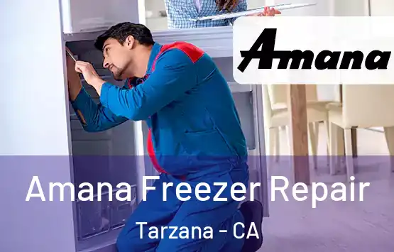  Amana Freezer Repair Tarzana - CA