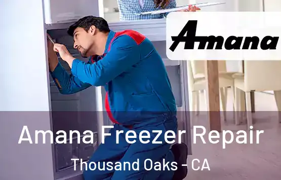  Amana Freezer Repair Thousand Oaks - CA