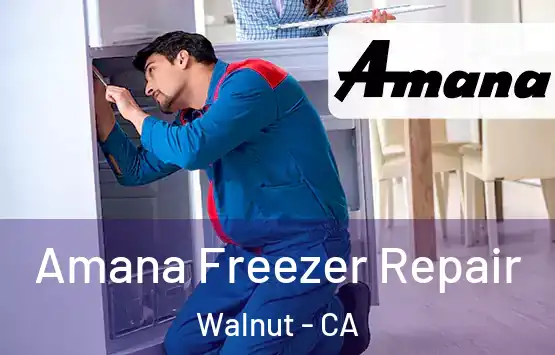  Amana Freezer Repair Walnut - CA