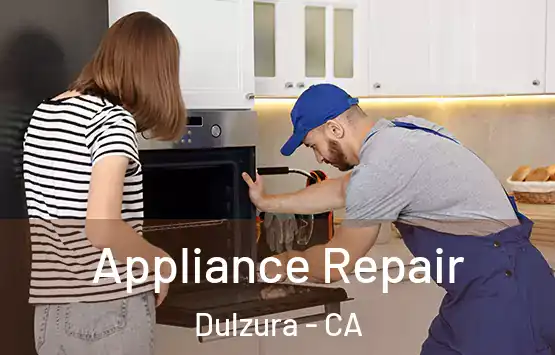  Appliance Repair Dulzura - CA