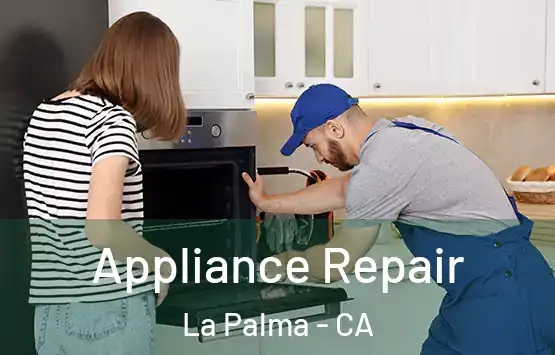  Appliance Repair La Palma - CA