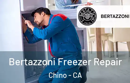 Bertazzoni Freezer Repair Chino - CA