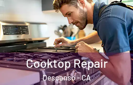  Cooktop Repair Descanso - CA