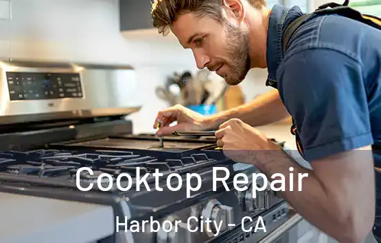  Cooktop Repair Harbor City - CA