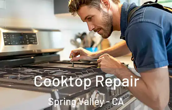  Cooktop Repair Spring Valley - CA