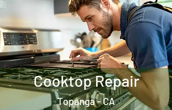  Cooktop Repair Topanga - CA