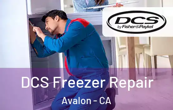  DCS Freezer Repair Avalon - CA