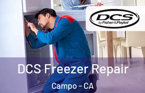  DCS Freezer Repair Campo - CA