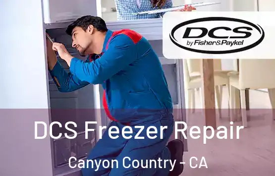  DCS Freezer Repair Canyon Country - CA