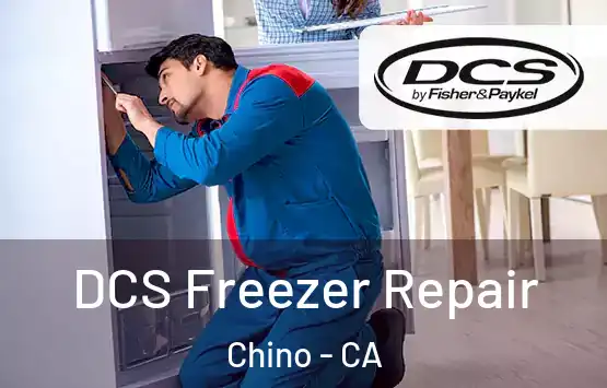  DCS Freezer Repair Chino - CA