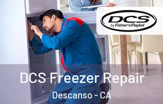  DCS Freezer Repair Descanso - CA