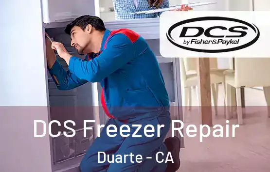  DCS Freezer Repair Duarte - CA