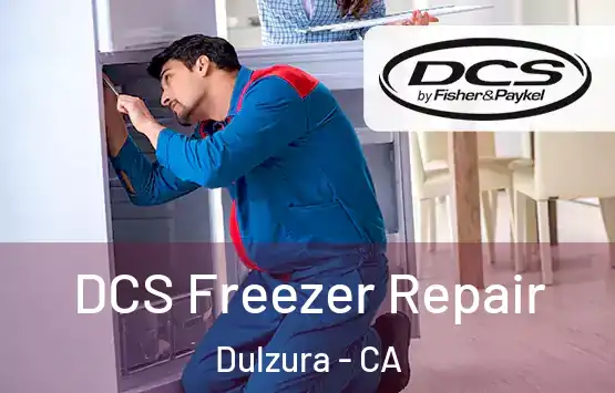  DCS Freezer Repair Dulzura - CA