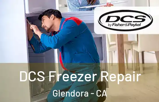  DCS Freezer Repair Glendora - CA
