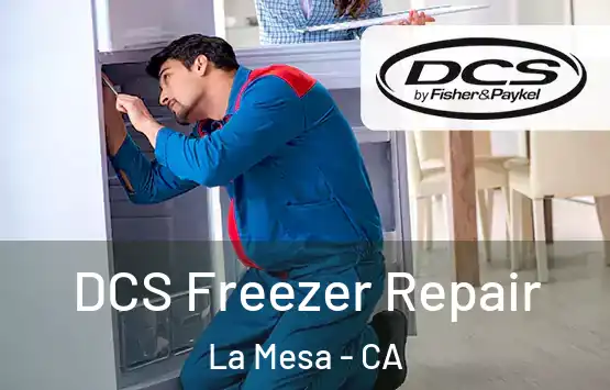 DCS Freezer Repair La Mesa - CA