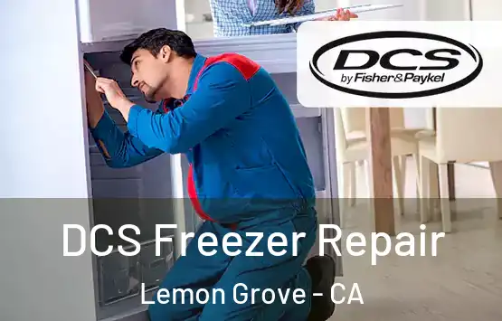  DCS Freezer Repair Lemon Grove - CA