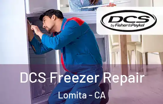  DCS Freezer Repair Lomita - CA
