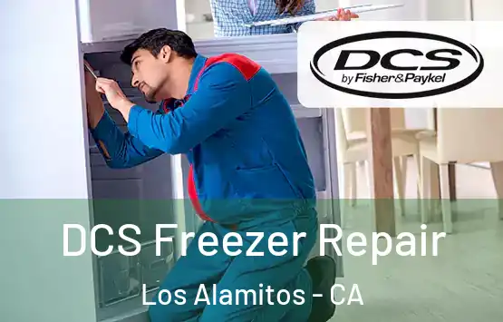  DCS Freezer Repair Los Alamitos - CA