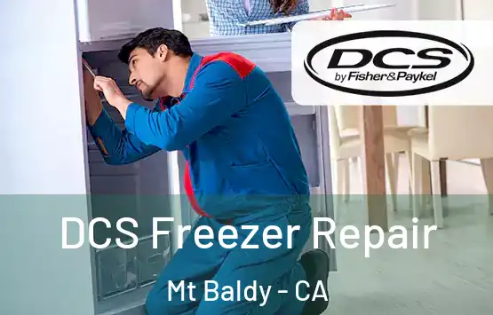  DCS Freezer Repair Mt Baldy - CA