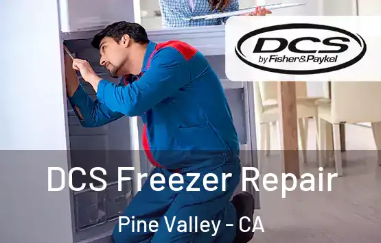  DCS Freezer Repair Pine Valley - CA