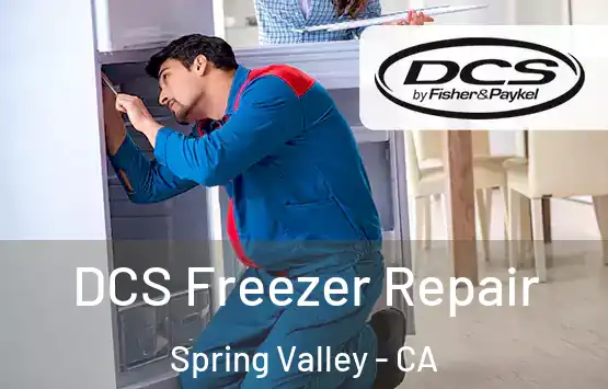  DCS Freezer Repair Spring Valley - CA