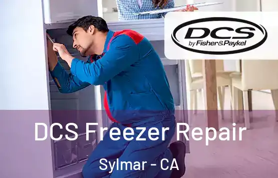  DCS Freezer Repair Sylmar - CA