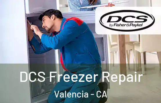  DCS Freezer Repair Valencia - CA