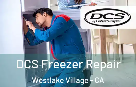  DCS Freezer Repair Westlake Village - CA