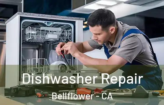  Dishwasher Repair Bellflower - CA