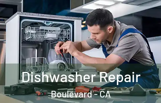  Dishwasher Repair Boulevard - CA