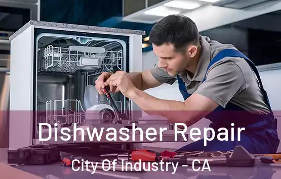 Dishwasher Repair City Of Industry - CA