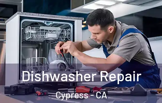  Dishwasher Repair Cypress - CA