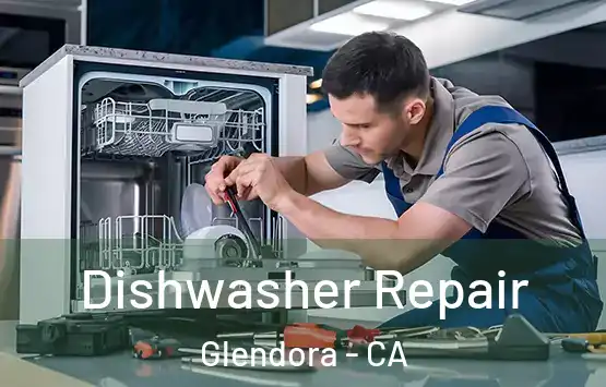  Dishwasher Repair Glendora - CA