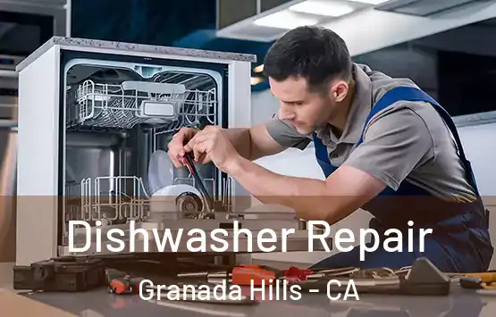  Dishwasher Repair Granada Hills - CA