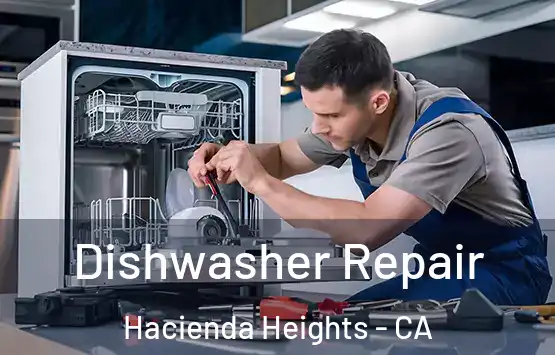  Dishwasher Repair Hacienda Heights - CA